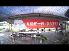 Activités d'équipe