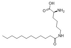 Additifs cosmétiques N6- (1-Oxododecyl) - analyse blanche 95% de poudre de Cas 52315-75-0 de L-lysine