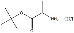 Clorhydrate de Tert-Butyl L-Alaninate CAS. 13404-22-3 Poudre blanche à presque blanche Purification 98% Point de fusion 168 °C à 175 °C