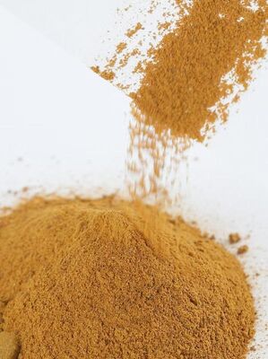 POLYDIHYDROXYINDOLE — Mélamine